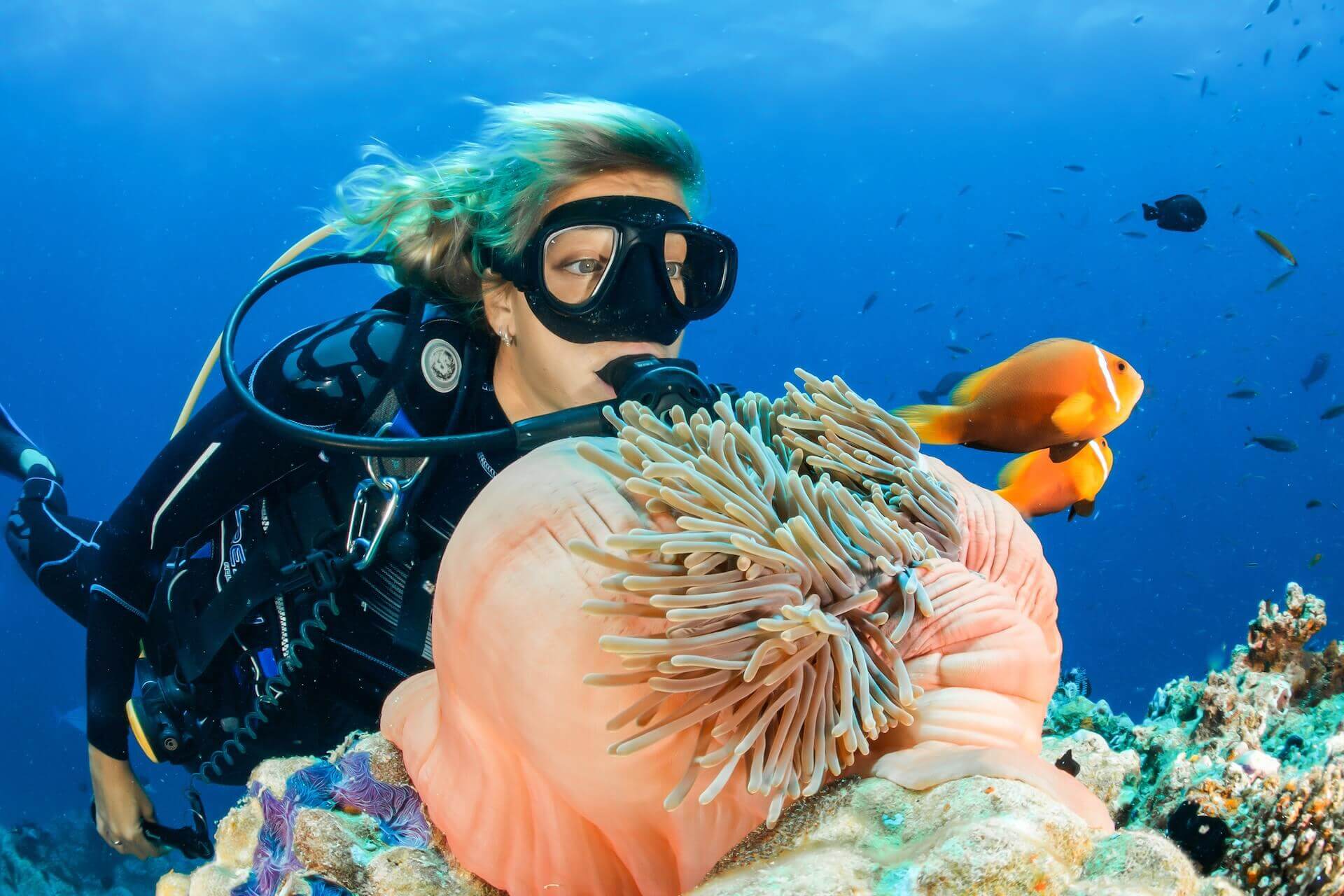 Diving in Oman