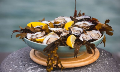 Le ostriche sono buone